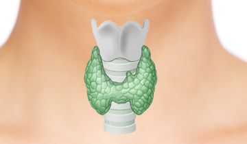 Tratamento Tireoide